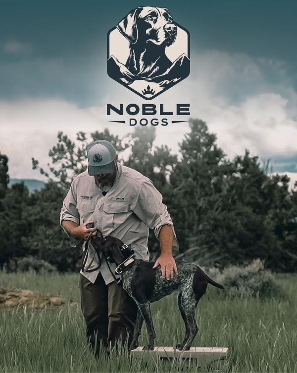 Noble Dogs Dog Trainer